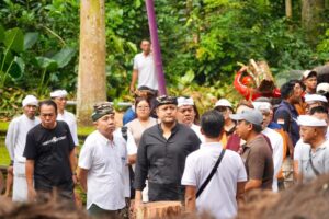 DPRD Badung Desak DTW Sangeh Lakukan Peremajaan Pohon Tua Cegah Insiden Terulang