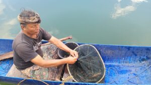 LOBSTER AIR TAWAR PRIMADONA BAGI NELAYAN DANAU BATUR