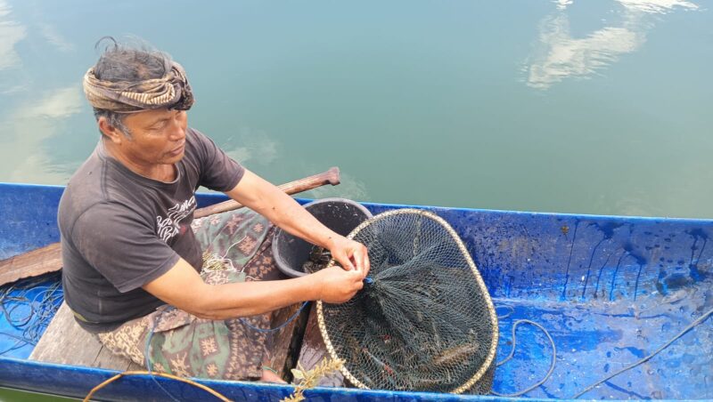 LOBSTER AIR TAWAR PRIMADONA BAGI NELAYAN DANAU BATUR