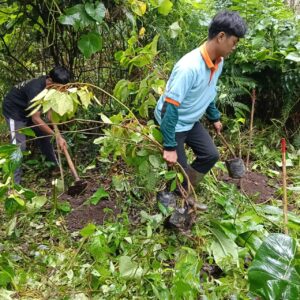 Kolaborasi Internasional Tanam 1000 Pohon di Tamblingan, Jaga Sumber Daya Air Bali