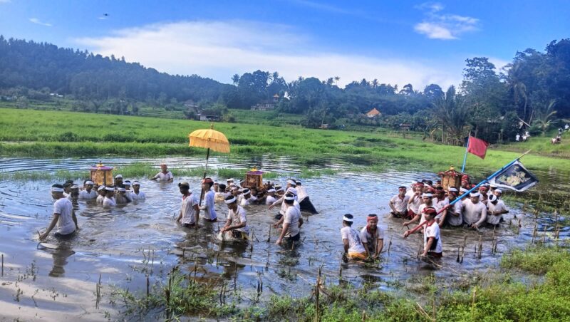 Ida Betara Meyab, Tradisi Sakral Agraris , Memohon Kemakmuran Sekaligus Tolak Bala