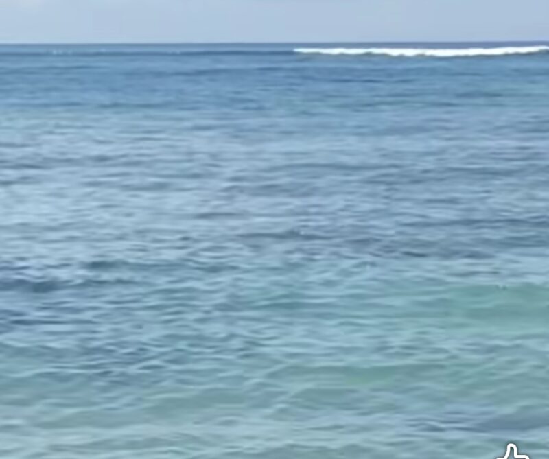 ITDC- POLAIRUD GELAR MONITORING PASCA KEMUNCULAN HIU, PASTIKAN KONDISI AMAN DAN KONDUSIF BAGI WISATAWAN