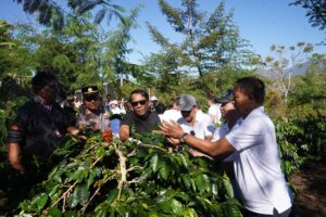 DPRD Kabupaten Badung Hadiri Panen Kopi dan Penanaman Demplot Bawang di Badung Agro Techno Park.