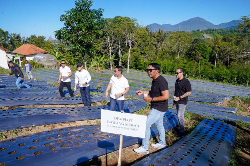 DPRD Kabupaten Badung Hadiri Panen Kopi dan Penanaman Demplot Bawang di Badung Agro Techno Park.