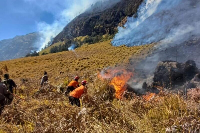 Penanganan Kebakaran Savana Bromo Hadapi Sejumlah Tantangan