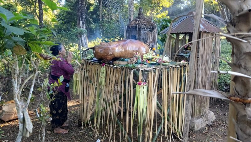 Ngerasakin Upacara Untuk Tanaman Pertanian, Bentuk Syukur Atas Limpahan Hasil Panen