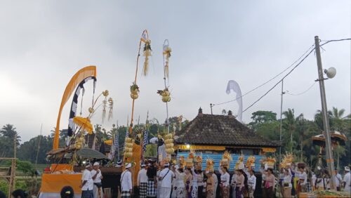 USABA NINI, MEMUJA DEWI SRI ATAS ANUGERAH KESUBURAN