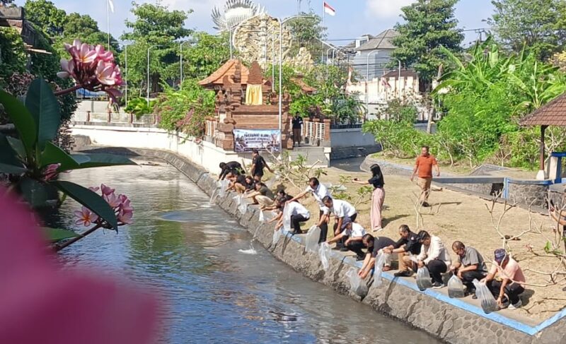 KPUD Badung Tebar 15 Ribu Benih Ikan Nila, Bentuk Sosialisasi Non Tahapan Pemilu Secara Humanis.