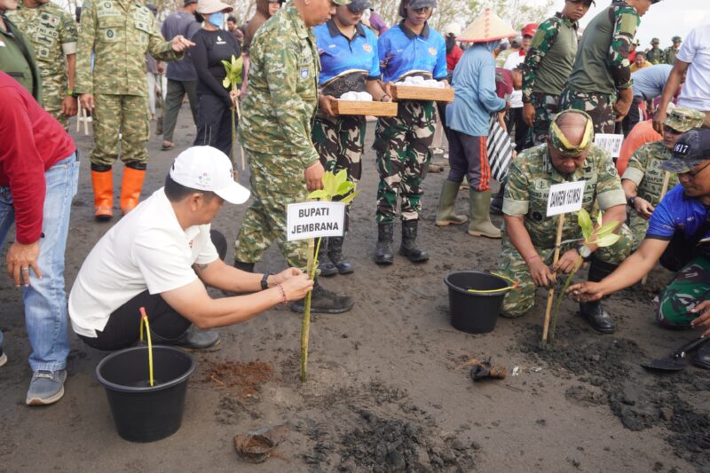 Peringati HUT ke-81 TNI, Bupati Kembang Hartawan Bersama Danrem 163/Wira Satya Pimpin Penanaman 9.200 Mangrove di Tuwed Park