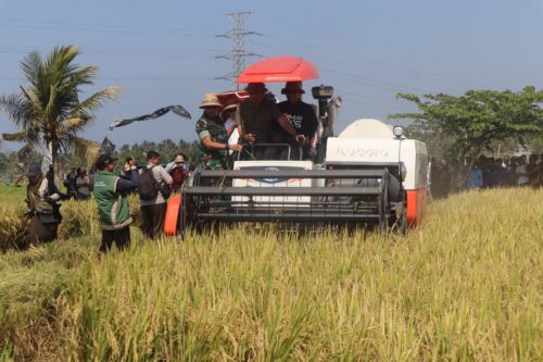 Dorong Hasil Panen Melimpah, Bupati Kembang Ajak Petani Maksimalkan PM-AAS*
