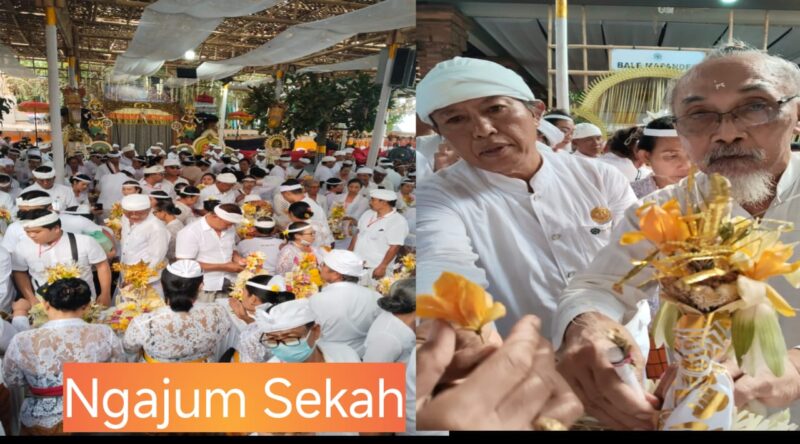 Ngajum Sekah, Menghias Puspa Lingga SeCantik Mungkin Dengan Bunga Berwarna Putih dan Kuning