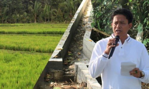 Tanggap Musim Kemarau, Diperpa Badung Bergerak Cepat Perbaiki Saluran Irigasi dan Siapkan Solusi Pertanian